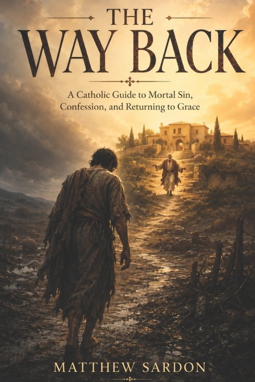 The Way Back: A Catholic Guide to Mortal Sin, Confession, and Returning to Grace