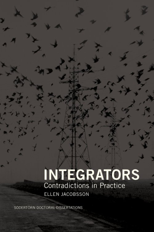 Integrators: Contradictions in Practice