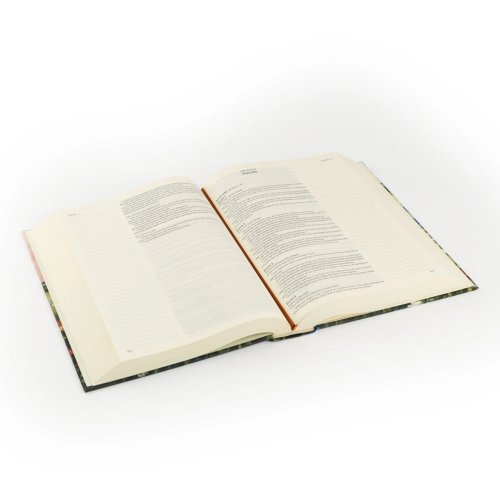 KJV Large Print Notetaking Bible: Coram Theme