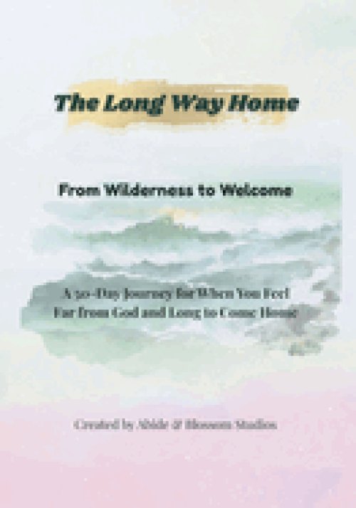 The Long Way Home: From Wilderness to Welcome: A 50-Day Devotional for Hearts Longing to Return to God