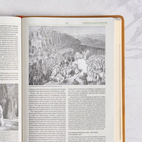 NASB Study Bible, Camel Suedesoft Leathertouch