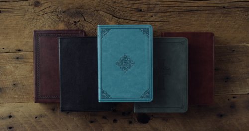 ESV Value Large Print Compact Bible (TruTone, Quiet Forest, Celtic Cross Design)