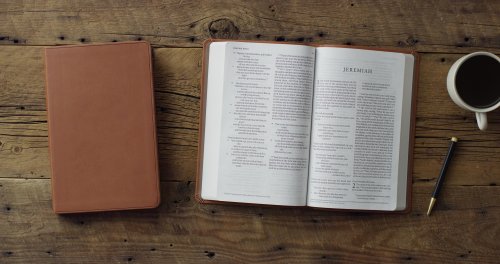 ESV Large Print Value Thinline Bible (TruTone, Camel)