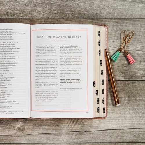 CSB She Reads Truth Bible, , Rose Gold, Imitation Leather, Thumb Indexed, Devotionals, Wide Margins, Journalling, Illustrated, Maps, Book Introductions, Topical Index, Ribbon Markers