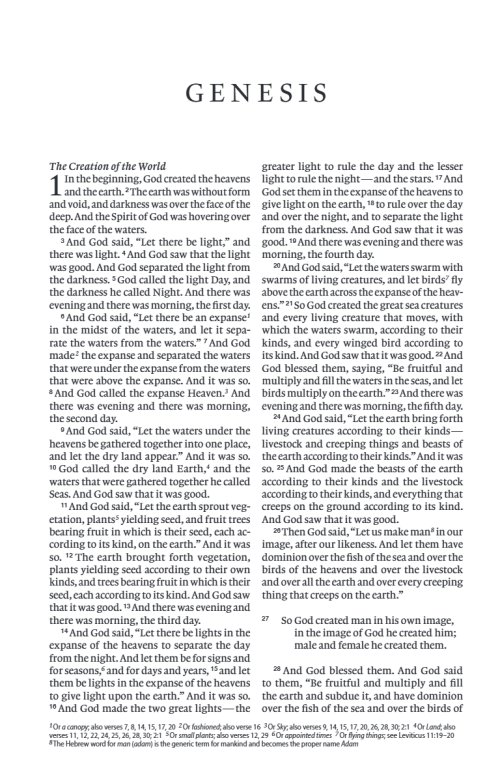 ESV Holy Bible for Kids, Economy (Paperback)