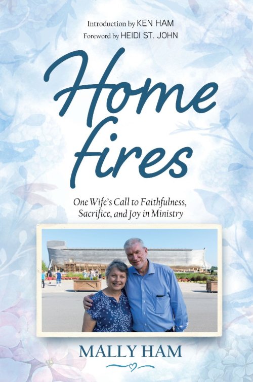 Home Fires