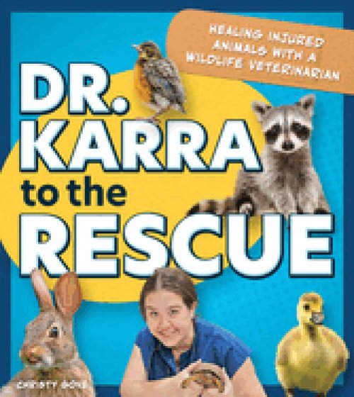 Dr.karrato The Rescue