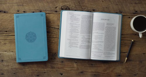 ESV Large Print Value Thinline Bible (TruTone, Turquoise, Emblem Design)