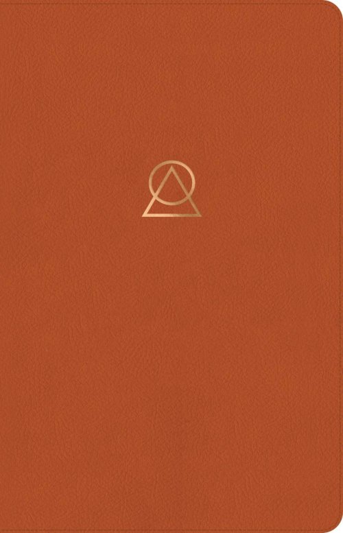 Message Women's Devotional Bible (Leather-Look, Terracotta)