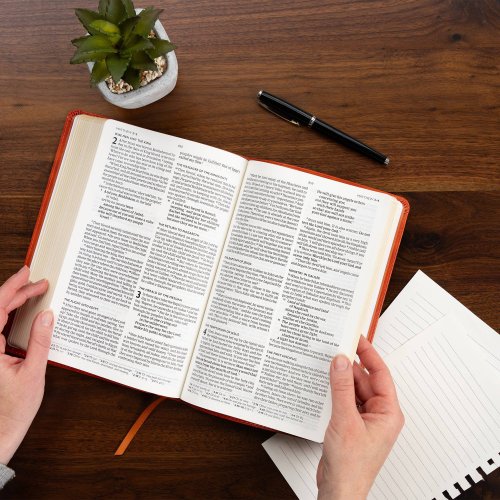 CSB Church Bible, Anglicised Edition, British Tan LeatherTouch