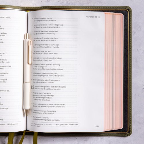 CSB She Reads Truth Bible, Holman Handcrafted Collection, Olive Premium Calfskin