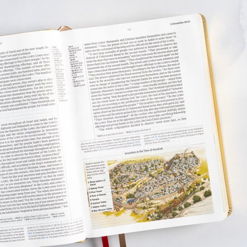 CSB Baker Illustrated Study Bible, Khaki