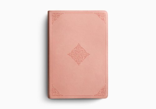 ESV Holy Bible, Dyslexia-Friendly Edition