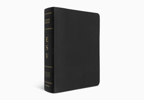 ESV Study Bible, Large Print, Thumb Indexed (Genuine Leather, Black)