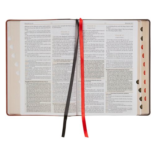 KJV Dark Brown and Honey Brown Faux Leather Large Print King James Version Study Bible with Thumb Index