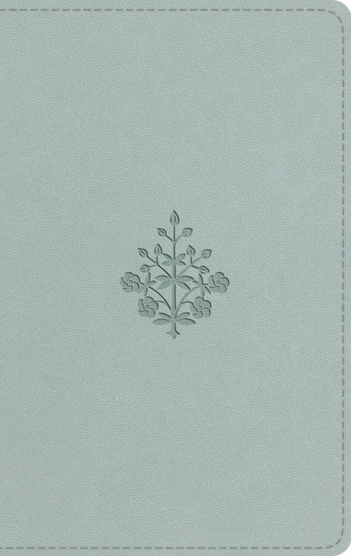 ESV Large Print Value Thinline Bible (TruTone, River Stone, Branch Design)