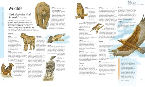 Lion Bible Encyclopedia
