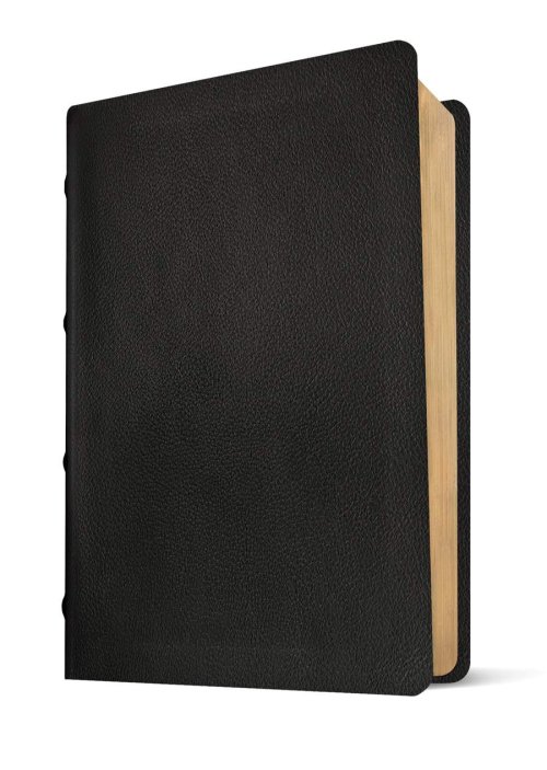 NLT Pastor's Bible, Filament Enabled (Genuine Leather, Black, Red Letter)
