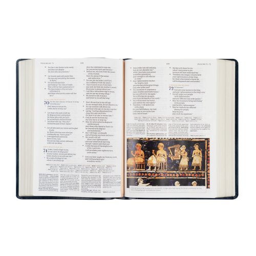 CSB Women's Study Bible: Versailles Theme