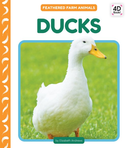 Ducks