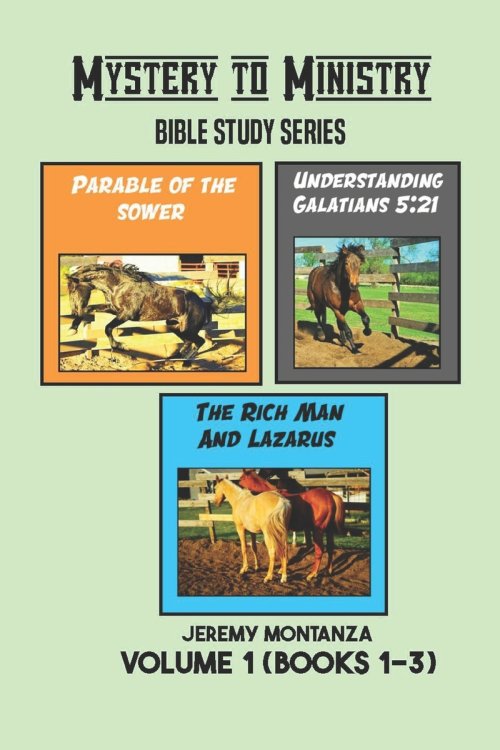 Mystery to Ministry Bible Study Series Volume 1 (Books 1-3): The Rich Man and Lazarus, Understanding Galatians 5:21 and The Parable of the Sower