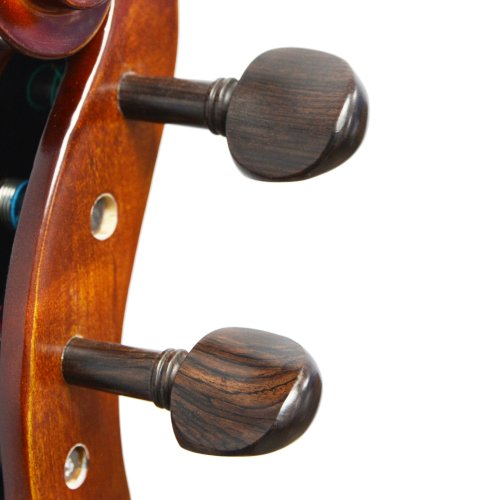 Forenza Prima 2 Cello Outfit - 1/4 Size