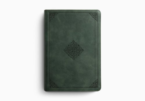 ESV Study Bible, Personal Size (TruTone, Quiet Forest, Ornament Design)
