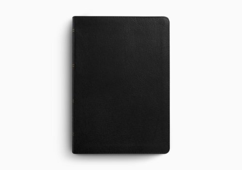 ESV Giant Print Bible, Red Letter (Genuine Leather, Black)