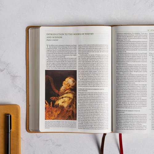 NASB Study Bible, Camel Suedesoft Leathertouch