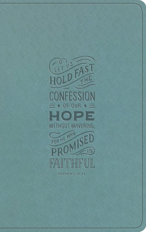 ESV Large Print Value Thinline Bible (TruTone, Paris Sky, Hebrews 10:23 Design)