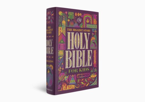 ESV The Biggest Story Holy Bible for Kids (Hardcover)