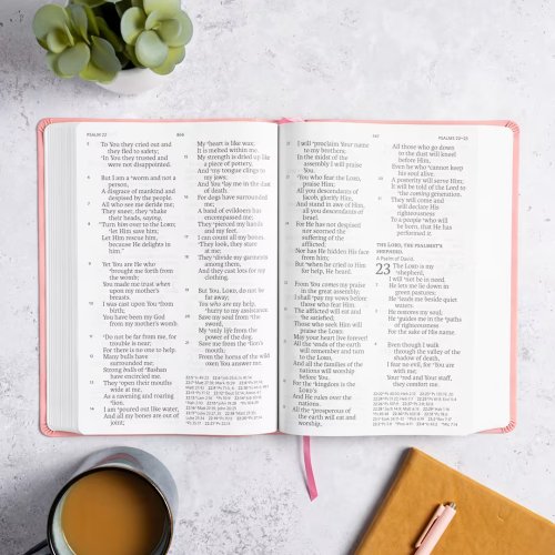 NASB Super Giant Print Reference Bible, Value Edition, Pink