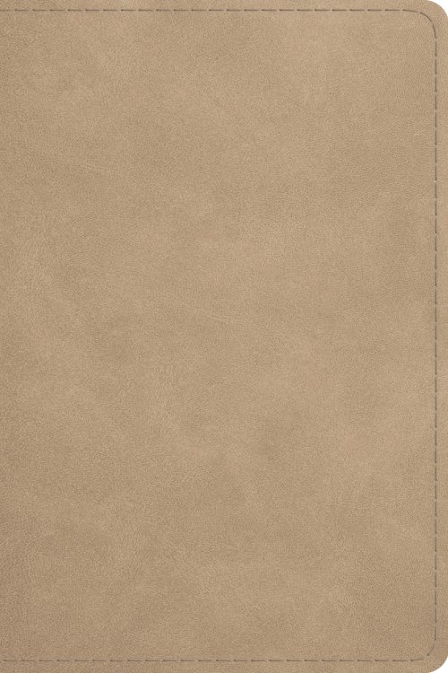 ESV Beholding Christ Bible