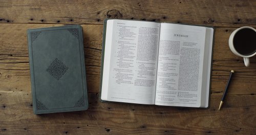 ESV Large Print Value Thinline Bible (TruTone, Quiet Forest, Ornament Design)
