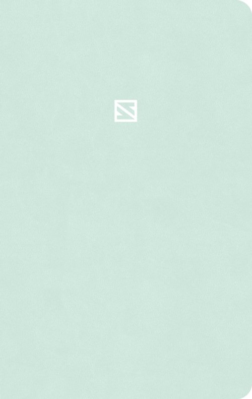 CSB Teen Study Bible, Optimal Type, Mint, Indexed