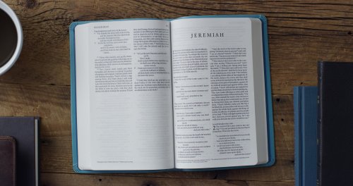 ESV Premium Gift Bible (TruTone, Teal, Floral Design)