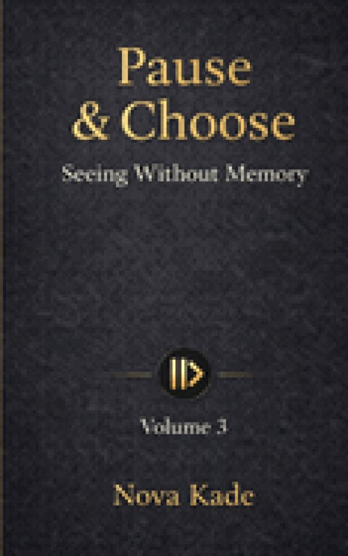 Pause & Choose: Seeing Without Memory