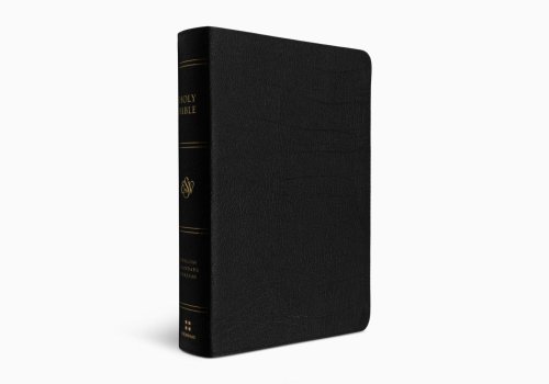 ESV Giant Print Personal Size Bible, Red Letter (Genuine Leather, Black)