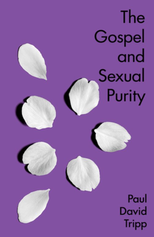 The Gospel and Sexual Purity (5-pack)