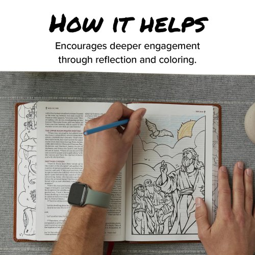 The Sketchbook Bible