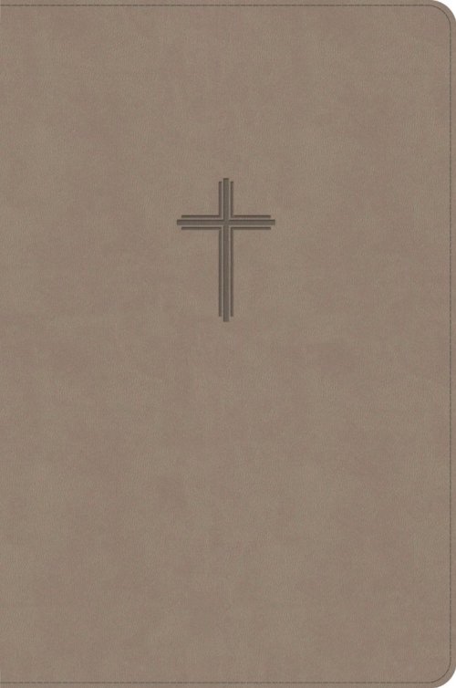 CSB Everyday Study Bible, Earth Suedesoft Leathertouch
