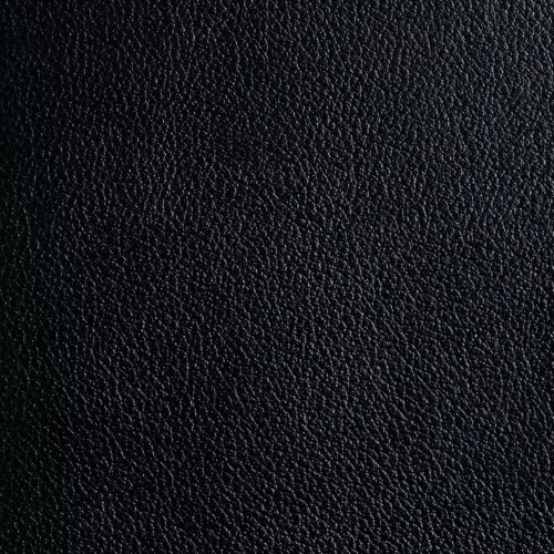 CSB Baker Illustrated Study Bible, Black Genuine Leather