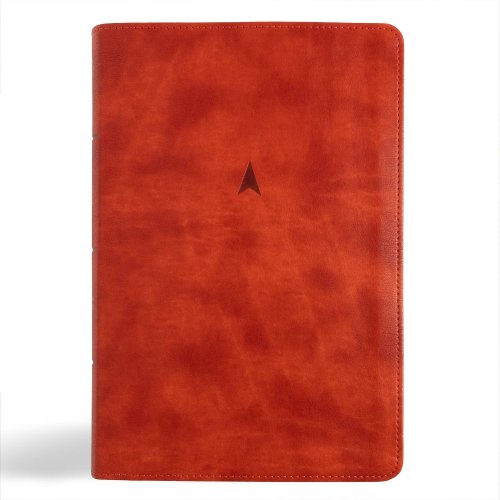 CSB Church Bible, Anglicised Edition, British Tan LeatherTouch