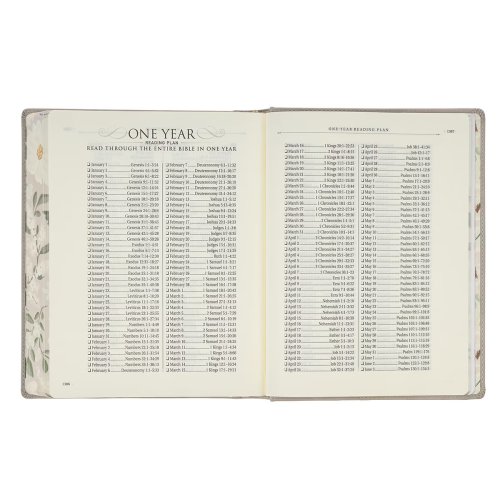 Trust Taupe Faux Leather Large Print King James Version Note-taking Bible - Proverbs 3:5