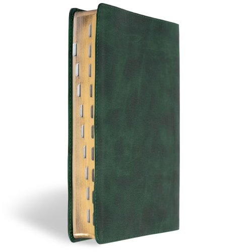 CSB Men of Character Bible, Revised and Updated, Forest LeatherTouch, Indexed