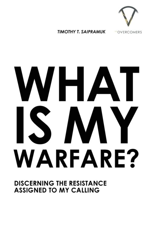 What Is My Warfare?: Discerning The Resistance Assigned To My Calling