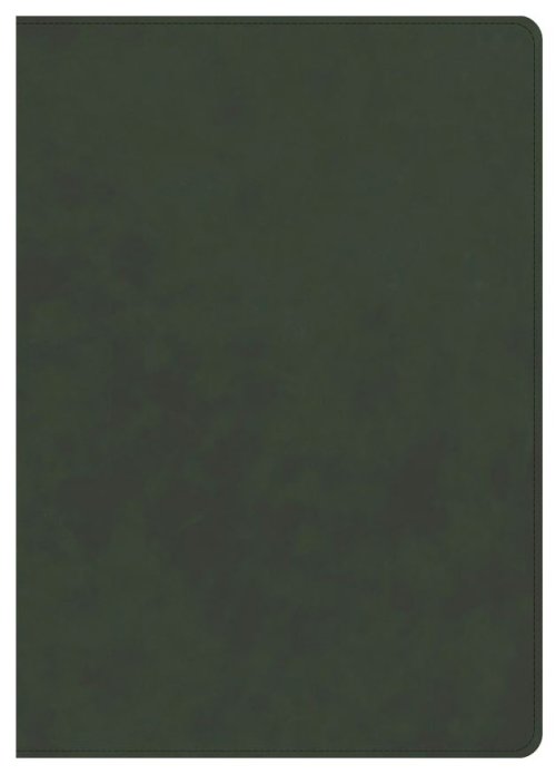 CSB Lumen Dei Bible, Lux Vitae: Single-Column Verse-By-Verse