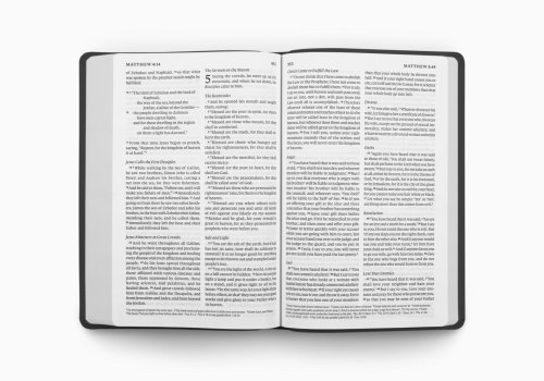 ESV Giant Print Value Thinline Bible (TruTone, Black)