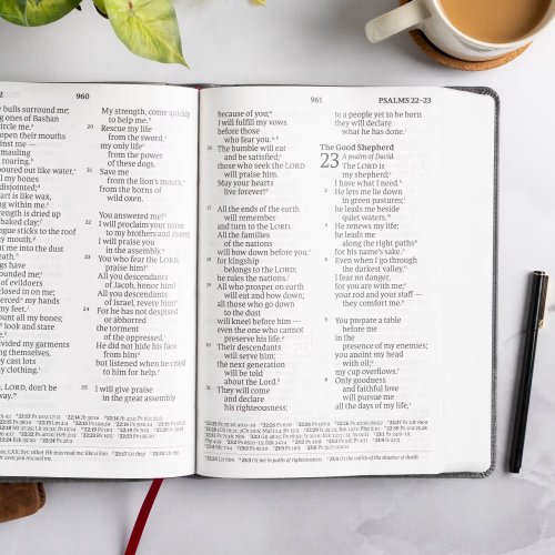 CSB Super Giant Print Reference Bible, Optimal Type, Digital Study Edition, Charcoal LeatherTouch