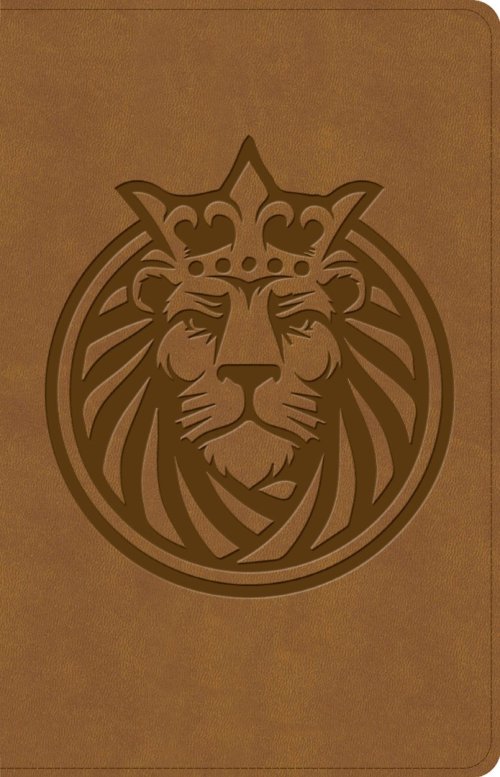 CSB Kids Bible, Anglicised Edition, Lion Leathertouch